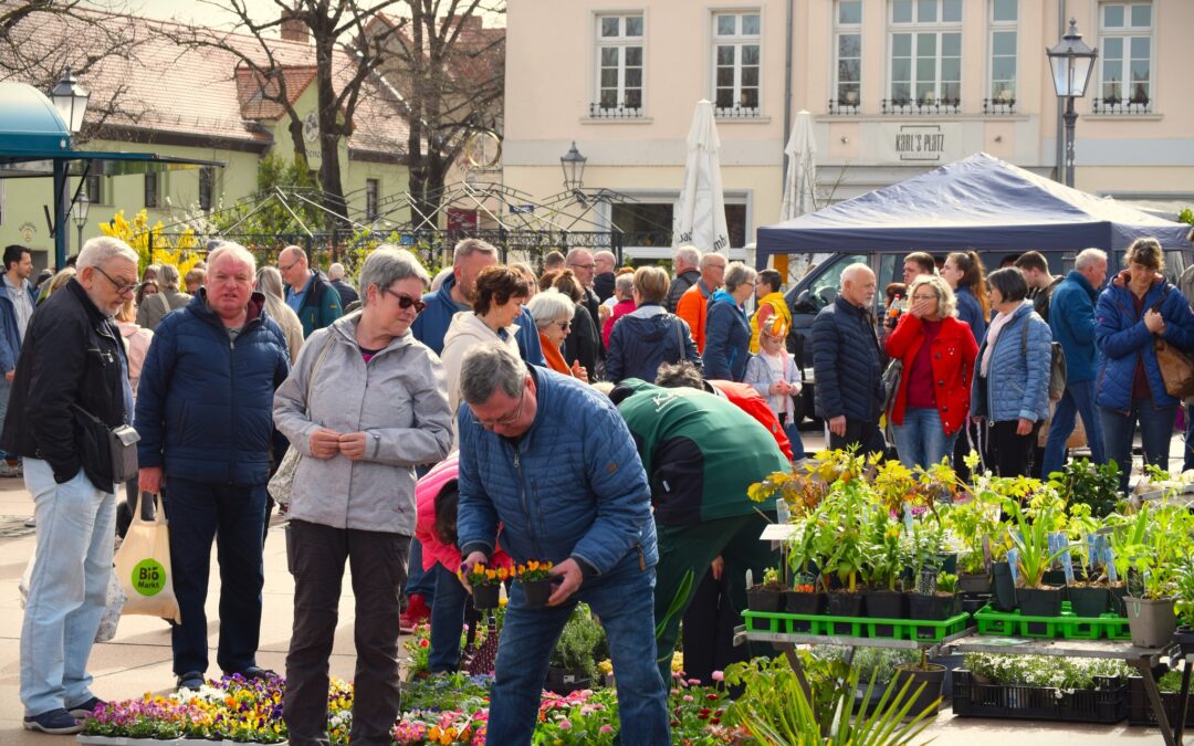 Regionalmarkt BBG // Karlsplatz – Bernburg – 25.10.2025