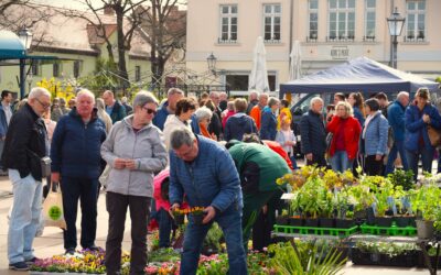 Regionalmarkt BBG // Karlsplatz – Bernburg – 25.10.2025