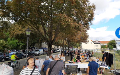 ANTIK- und FLOHMARKT // Weinfest  – 06406 Bernburg – 28.08.26 – 30.08.26